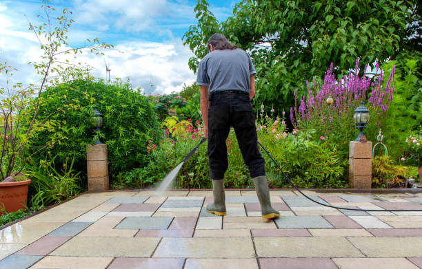 Best Driveway Pressure Washing  in West Little River, FL